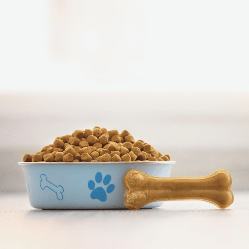 Quais são os erros comuns a evitar ao fazer comida seca para cães em casa?