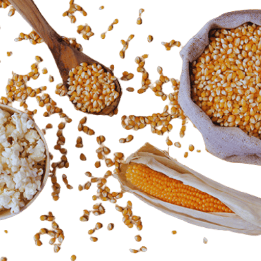 Discover the Quality Popcorn Raw Materials: Everything You Need to Know