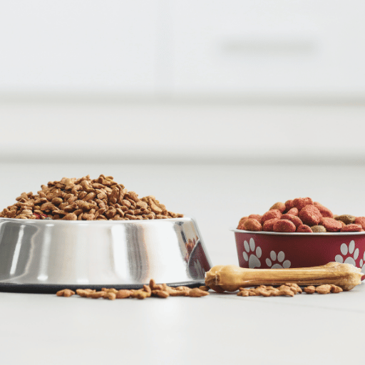 A comida seca caseira para cães é segura para meu animal de estimação?