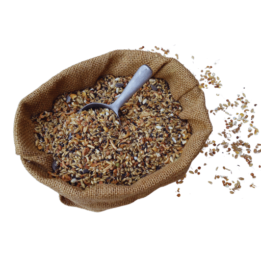 ¿Por qué utilizar un software de formulación de alimentos?