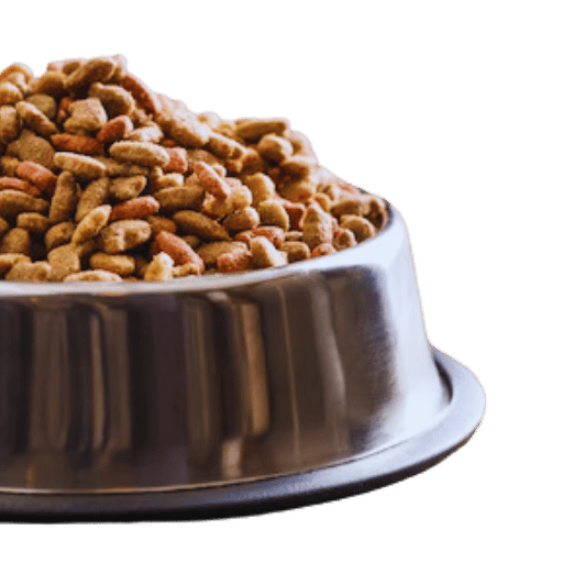FDA Warns: Pet Food Recall in 2024 Due to Salmonella and Listeria