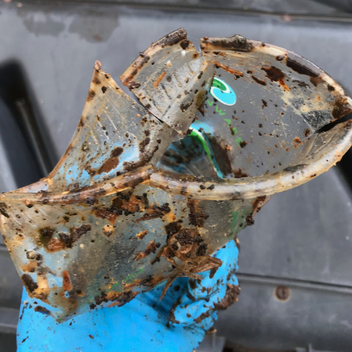 Is PLA Truly Biodegradable?
