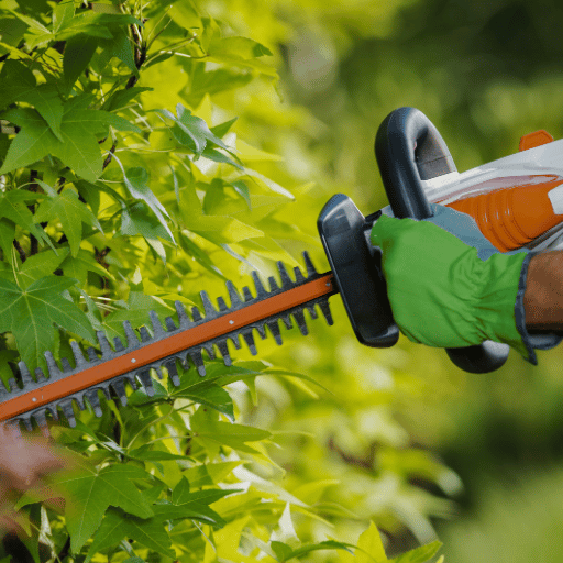 General tree trimming and cutting