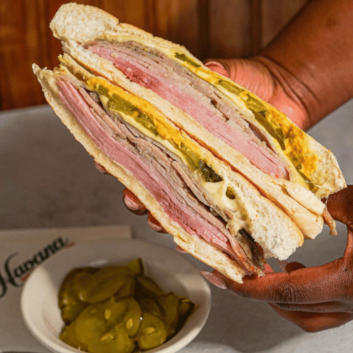 Why Taste Gator Meat in Florida?