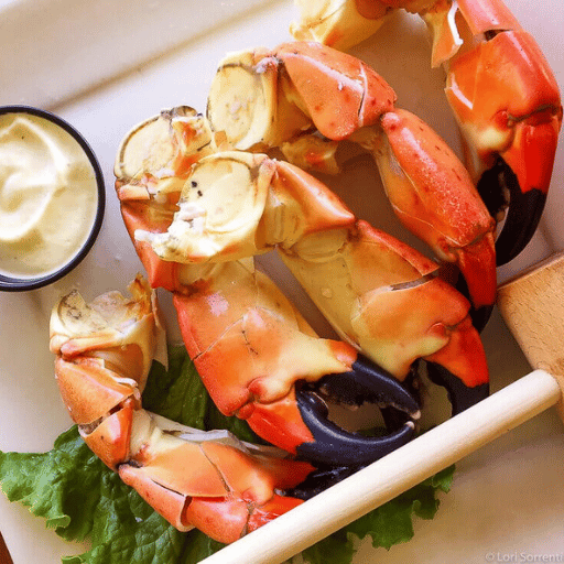 Where to Find the Best Apalachicola Oysters?