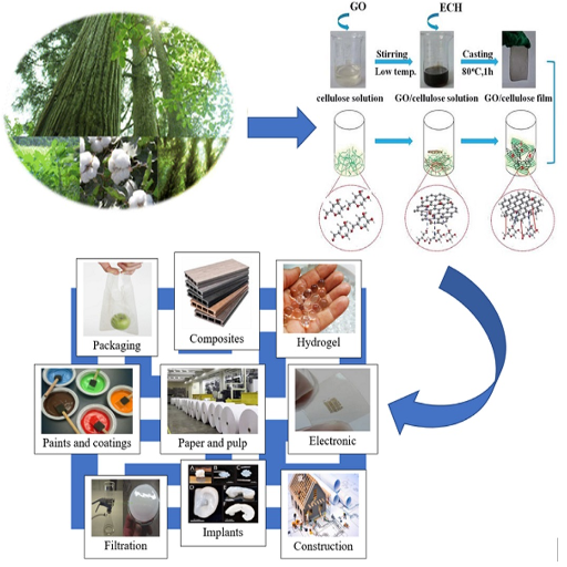 The Importance of Cellulose in Modern Manufacturing