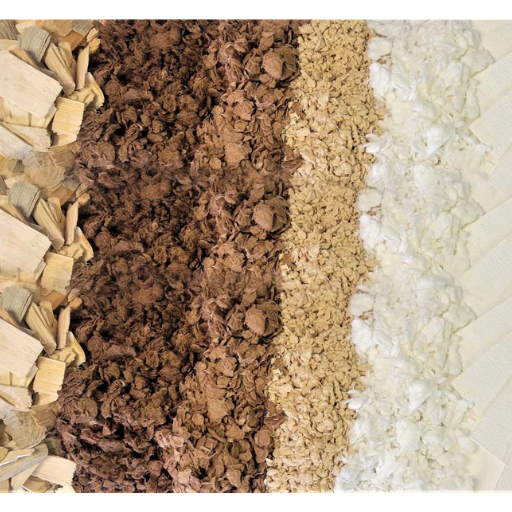 Pulping and Bleaching: Chemical Pollution Concerns
