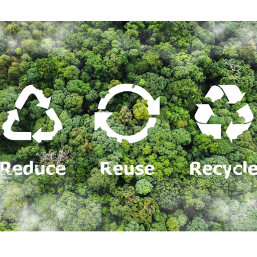The Role of Recycling in Reducing Environmental Impact