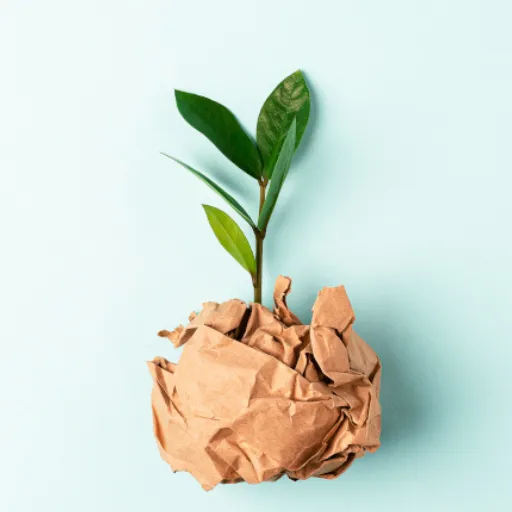 sustainable paper production