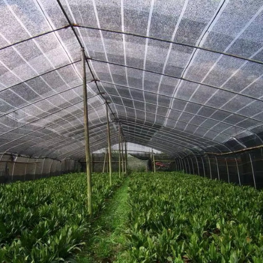Aplikasi Mesin Pembuat Jaring Teduh